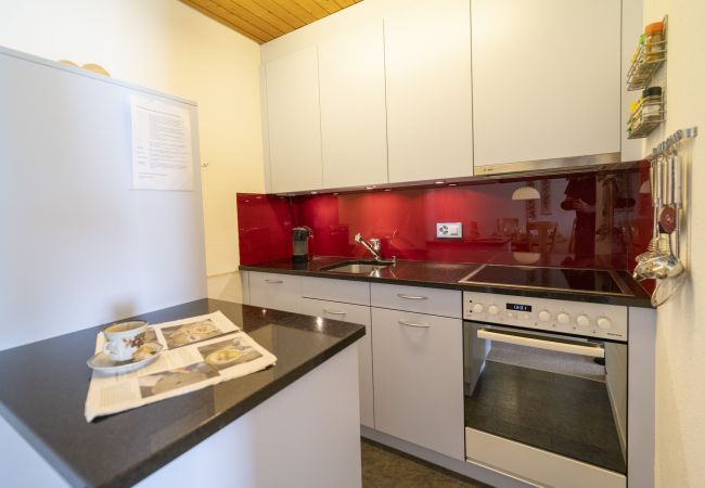 Ferienwohnung in Scuol - Chasa Trü Nr. 8: Idyllische 2.5-Zimmerwohnung in der Feriensiedlung Trü Ferienwohnung in Scuol - Chasa Trü Nr. 8: Idyllische 2.5-Zimmerwohnung in der Feriensiedlung Trü