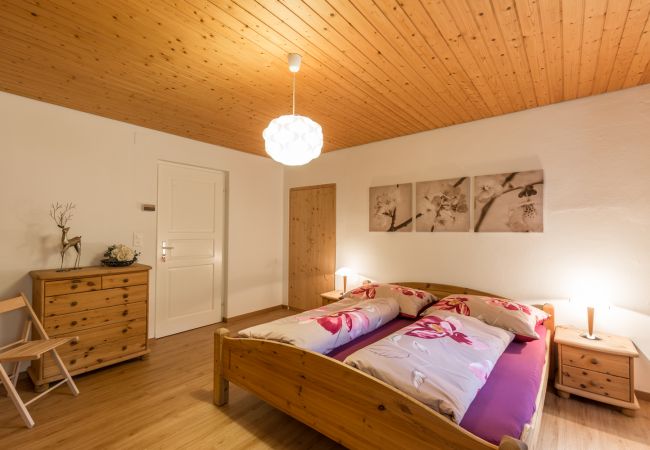 Ferienwohnung in Scuol - Chasa Silvretta: Neu eingerichtete, gut gelegene 2,5 Zimmer Ferienwohnung Ferienwohnung in Scuol - Chasa Silvretta: Neu eingerichtete, gut gelegene 2,5 Zimmer Ferienwohnung