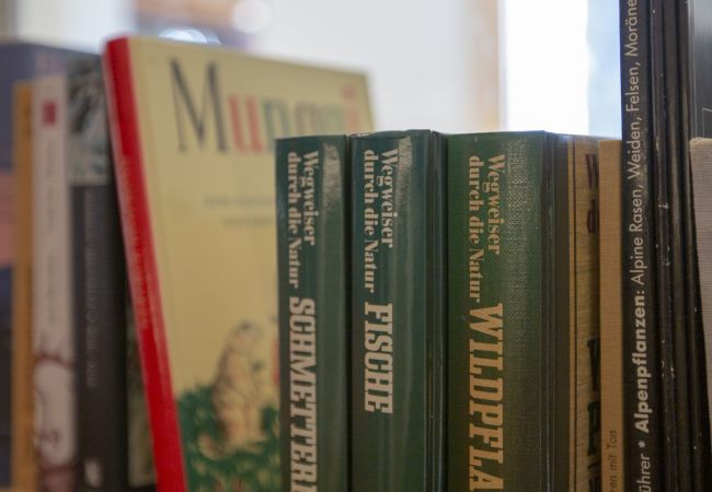 Ferienwohnung in Scuol - Chasa Avant Muglins: Gartenwohnung mit Ausblick Ferienwohnung in Scuol - Chasa Avant Muglins: Gartenwohnung mit Ausblick