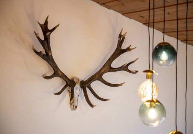 Chalet in Scuol - Meis Chalet: Luxuriöses, freistehendes Ferienhaus im Alpenchic-Stil mitten im Dorfzentrum von Scuol Chalet in Scuol - Meis Chalet: Luxuriöses, freistehendes Ferienhaus im Alpenchic-Stil mitten im Dorfzentrum von Scuol