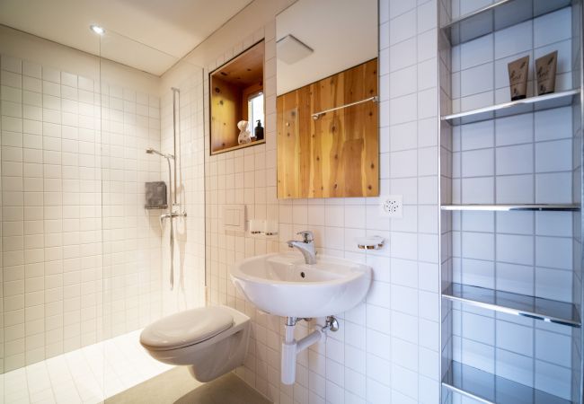Ferienhaus in Scuol - Chasa 5: Modernes 4 ½-Zimmer Ferienhaus mit Panoramablick und Arvenduft Ferienhaus in Scuol - Chasa 5: Modernes 4 ½-Zimmer Ferienhaus mit Panoramablick und Arvenduft