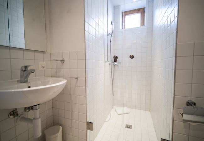Ferienhaus in Scuol - Chasa 5: Modernes 4 ½-Zimmer Ferienhaus mit Panoramablick und Arvenduft Ferienhaus in Scuol - Chasa 5: Modernes 4 ½-Zimmer Ferienhaus mit Panoramablick und Arvenduft