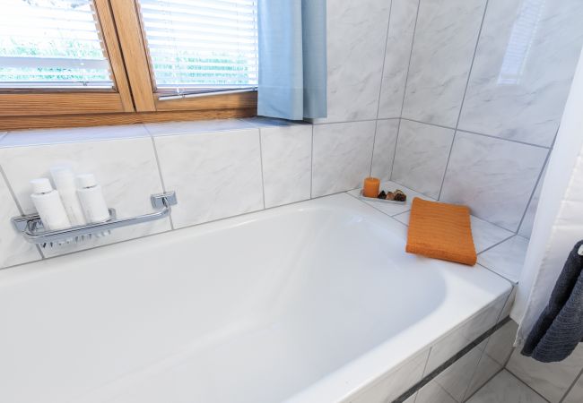Ferienwohnung in Scuol - Chasa Val 735: Ruhige 3 ½-Zimmerwohnung mit Terrasse und Aussicht auf den Nationalpark Ferienwohnung in Scuol - Chasa Val 735: Ruhige 3 ½-Zimmerwohnung mit Terrasse und Aussicht auf den Nationalpark