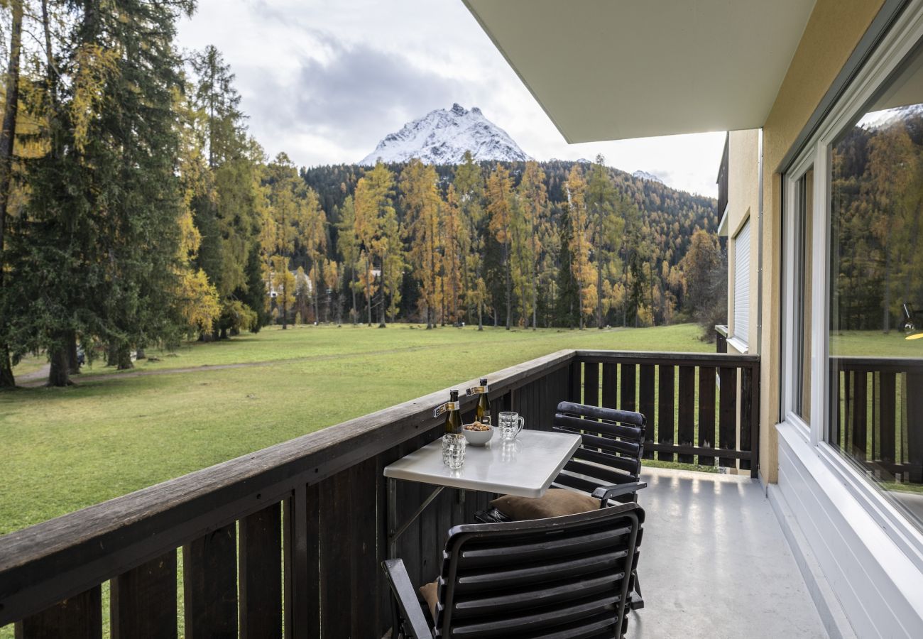 Ferienwohnung in Scuol - 3.5-Zimmerwohnung im Brentschpark 72