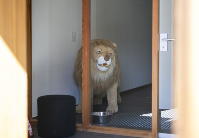 Ferienwohnung in Guarda - Chasa Arpiglia: Moderne 2.5-Zimmer-Wohnung auf der Sonnenterrasse in Guarda Ferienwohnung in Guarda - Chasa Arpiglia: Moderne 2.5-Zimmer-Wohnung auf der Sonnenterrasse in Guarda