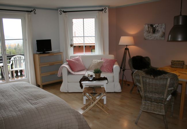 Studio in Vulpera - Valluns Studio 5301: Renoviertes und Stilvoll eingerichtetes Studio für erholsame Ferien Studio in Vulpera - Valluns Studio 5301: Renoviertes und Stilvoll eingerichtetes Studio für erholsame Ferien