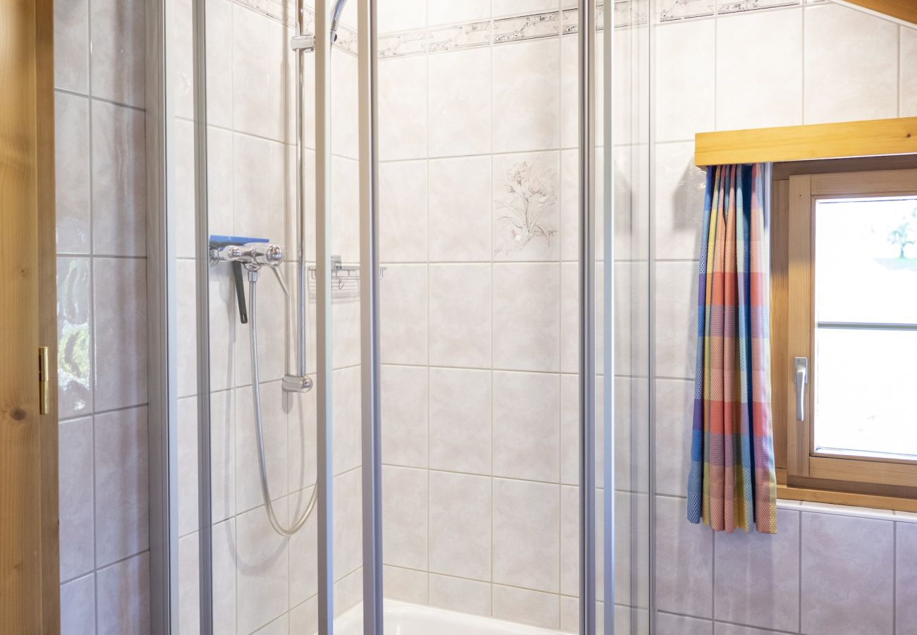 Ferienwohnung in Scuol - Chasa Porta 19:Praktische und gemütliche 3.5-Zimmer-Wohnung an zentraler Lage