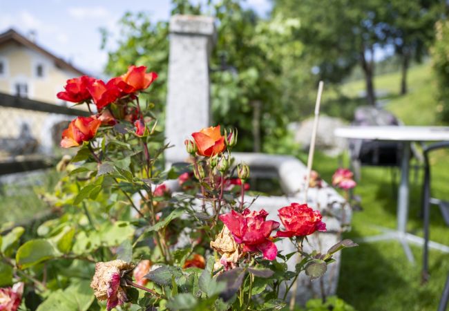 Studio in Ftan - Chasa Ulrica: Ruhige 1.5-Zimmerwohnung in Ftan mit Aussensitzplatz Studio in Ftan - Chasa Ulrica: Ruhige 1.5-Zimmerwohnung in Ftan mit Aussensitzplatz