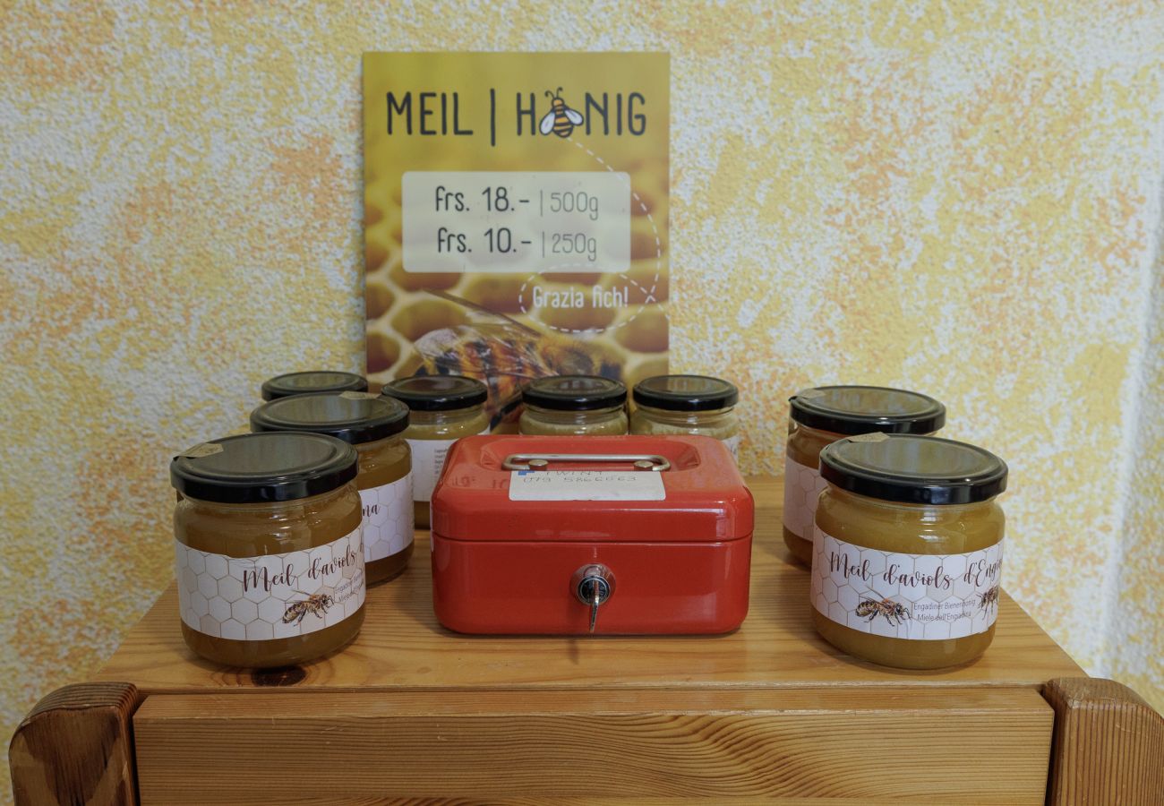 Ferienwohnung in Scuol - Chasa Marugg: Gemütliche 3.5-Zimmerwohnung direkt beim Engadin Bad Scuol