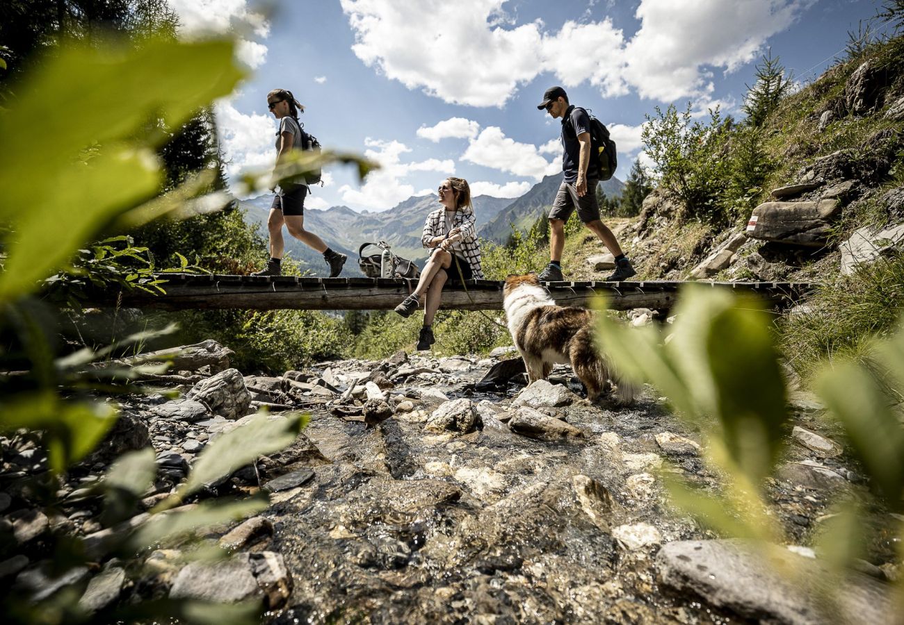 Ferienwohnung in Scuol - Plavna Apartment 2B: Moderne 2 ½-Zimmerwohunung zentral und mit Panoramablick