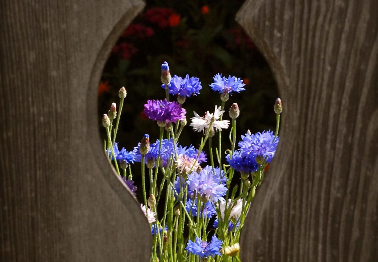 Ferienhaus in Tschlin - Chasa Macun – Grosszügiges Ferienhaus mit professioneller Küche im Bergdorf Tschlin