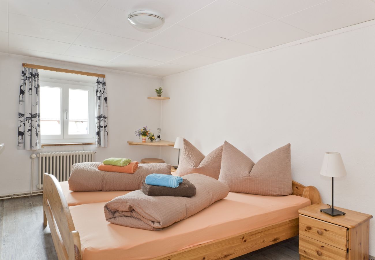 Ferienhaus in Tschlin - Chasa Macun – Grosszügiges Ferienhaus mit professioneller Küche im Bergdorf Tschlin