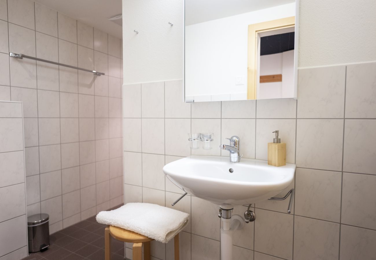 Ferienhaus in Tschlin - Chasa Macun – Grosszügiges Ferienhaus mit professioneller Küche im Bergdorf Tschlin