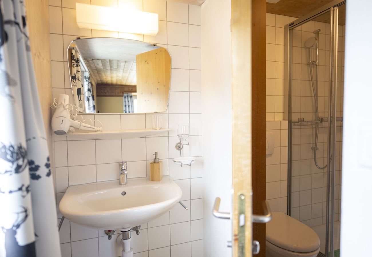 Ferienhaus in Tschlin - Chasa Macun – Grosszügiges Ferienhaus mit professioneller Küche im Bergdorf Tschlin