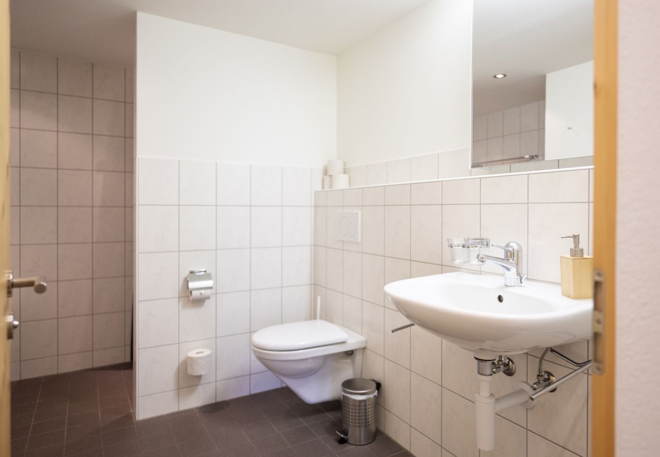 Ferienhaus in Tschlin - Chasa Macun – Grosszügiges Ferienhaus mit professioneller Küche im Bergdorf Tschlin