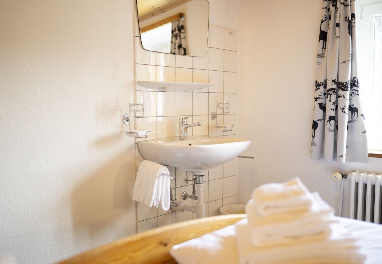 Ferienhaus in Tschlin - Chasa Macun – Grosszügiges Ferienhaus mit professioneller Küche im Bergdorf Tschlin
