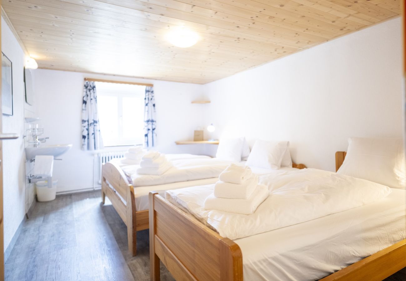 Ferienhaus in Tschlin - Chasa Macun – Grosszügiges Ferienhaus mit professioneller Küche im Bergdorf Tschlin