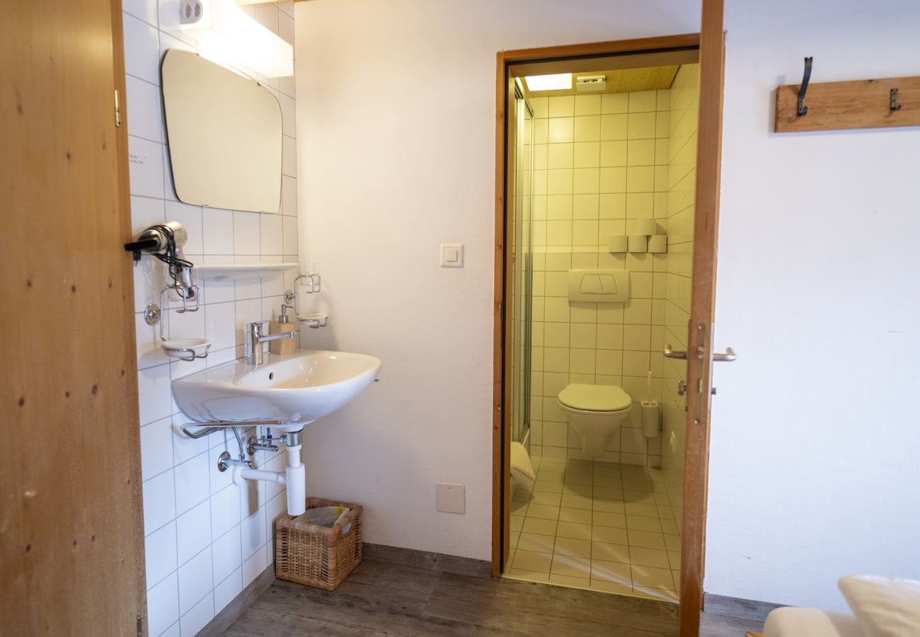 Ferienhaus in Tschlin - Chasa Macun – Grosszügiges Ferienhaus mit professioneller Küche im Bergdorf Tschlin