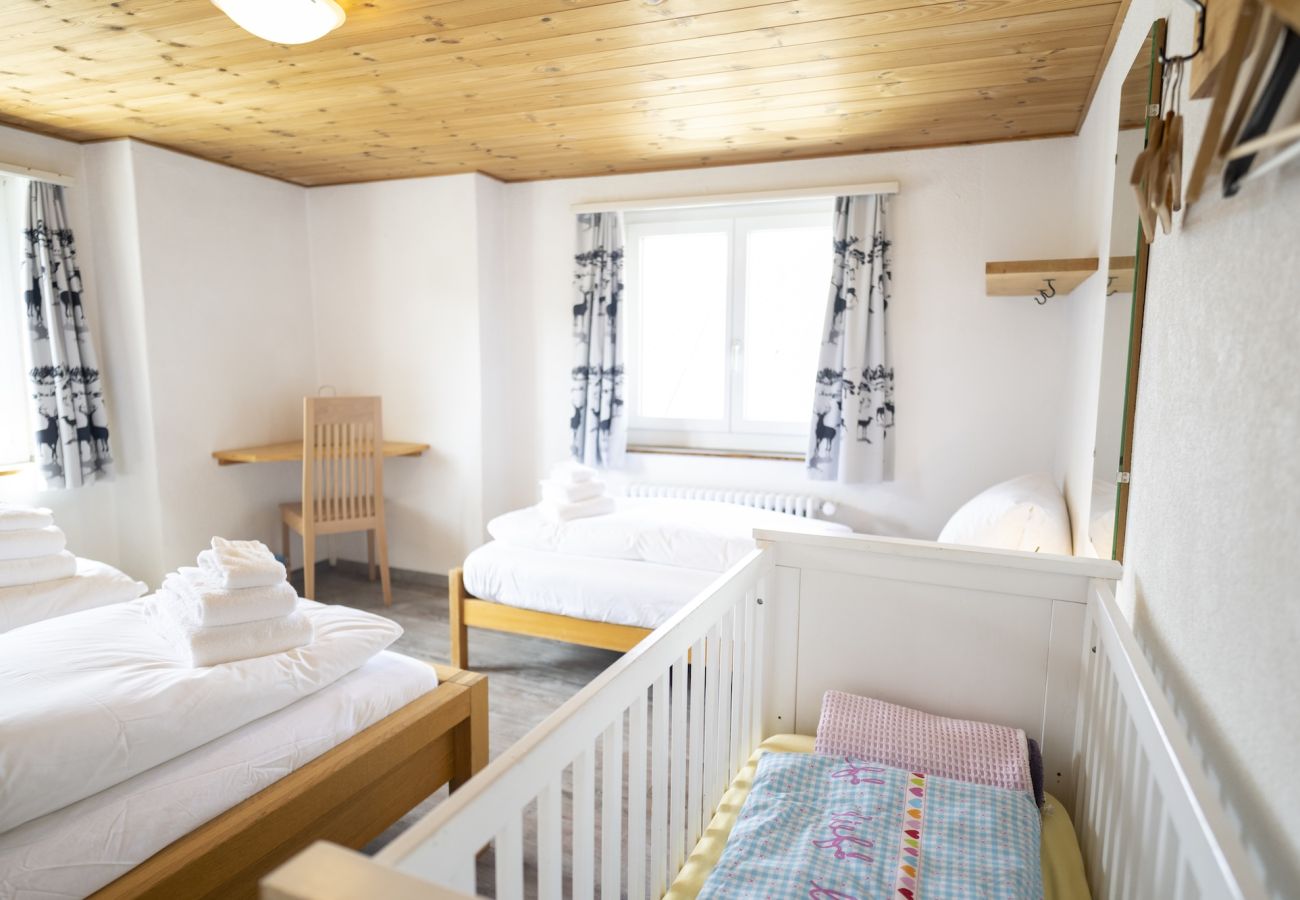 Ferienhaus in Tschlin - Chasa Macun – Grosszügiges Ferienhaus mit professioneller Küche im Bergdorf Tschlin