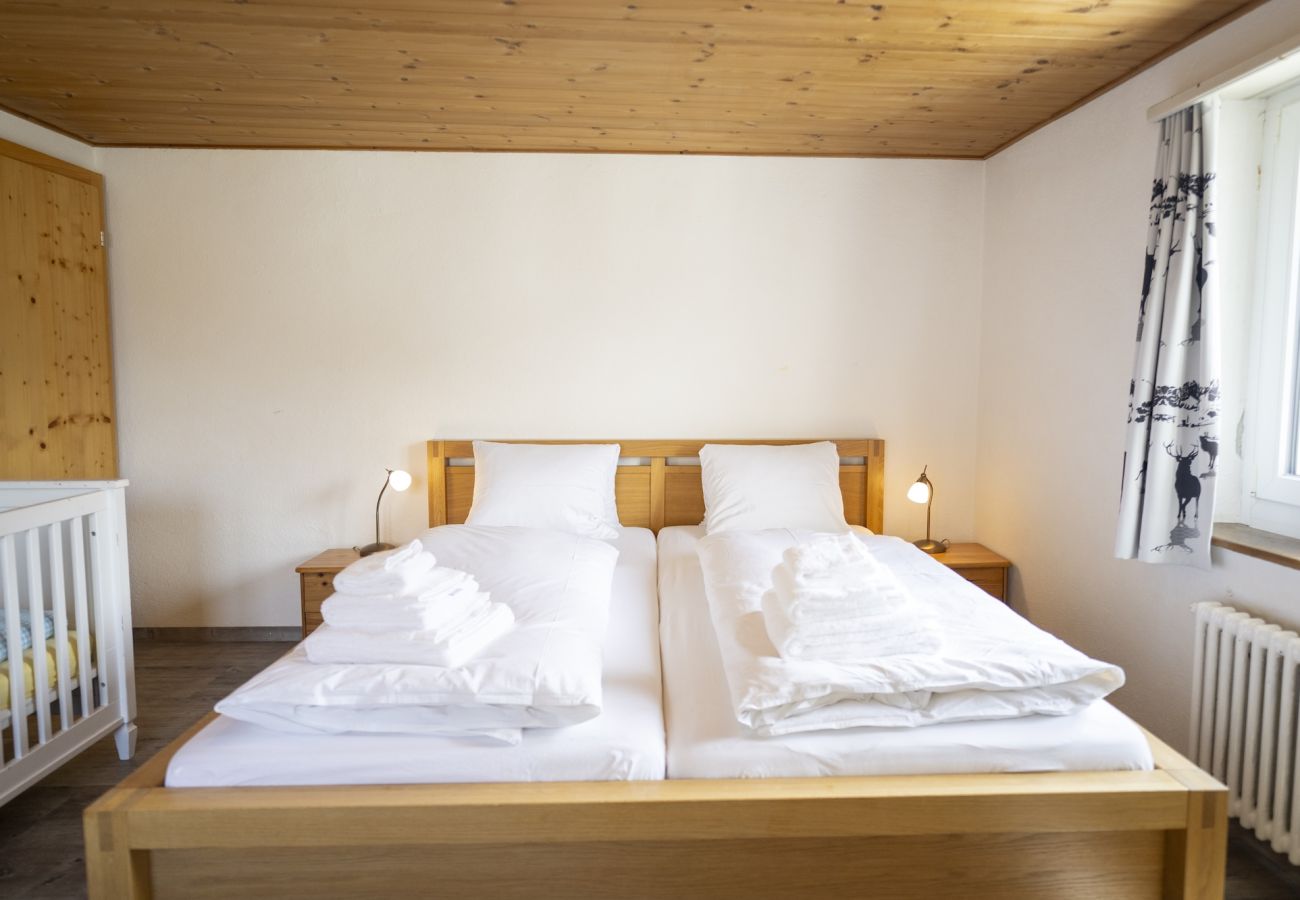 Ferienhaus in Tschlin - Chasa Macun – Grosszügiges Ferienhaus mit professioneller Küche im Bergdorf Tschlin